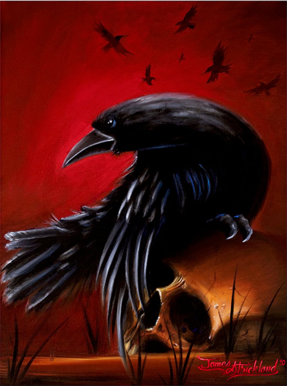 Crow - Canvas Giclee