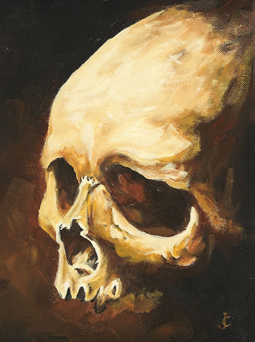 Skull On Canvas - Canvas Giclee