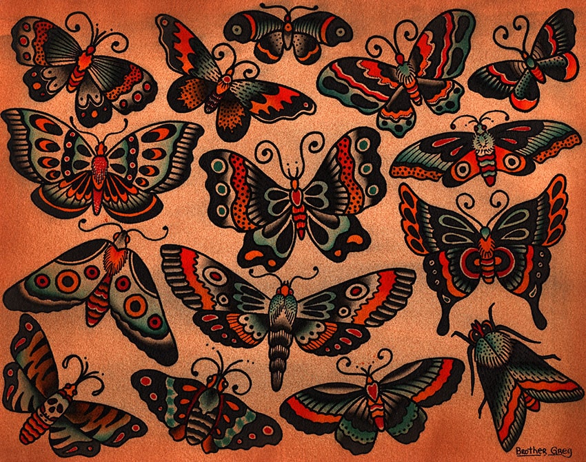 Butterflies & Moths - Canvas Giclee