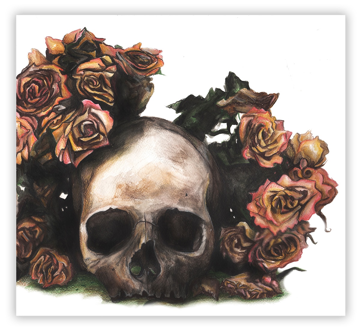 Skull Watercolor